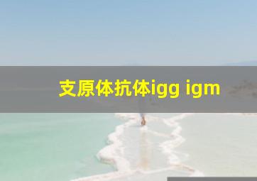 支原体抗体igg igm